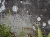 image of grave number 972994